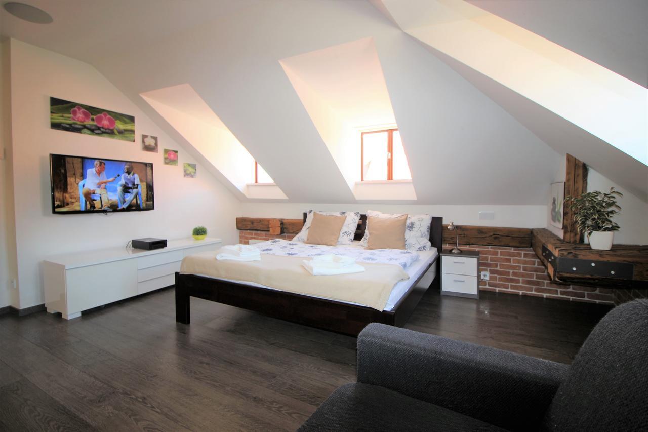 Agnes - Apartment Prag